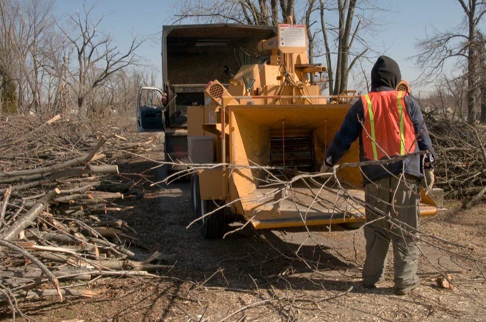 Brush Chipping & Haul-Away