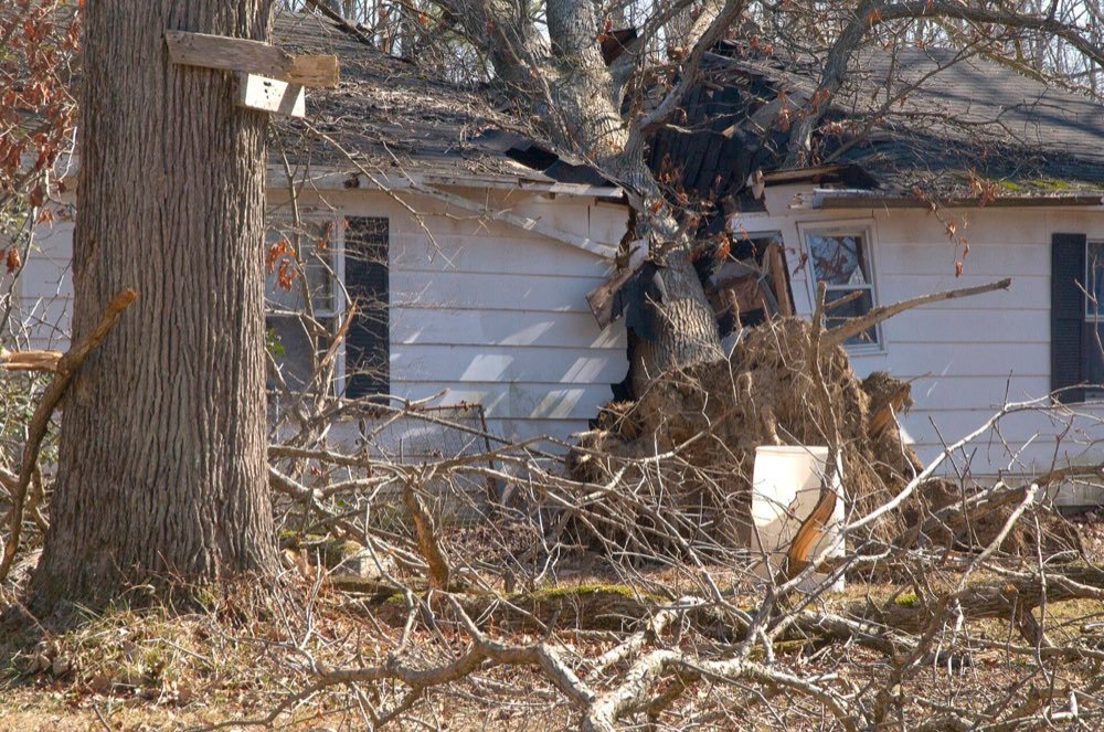 Storm Damage Cleanup