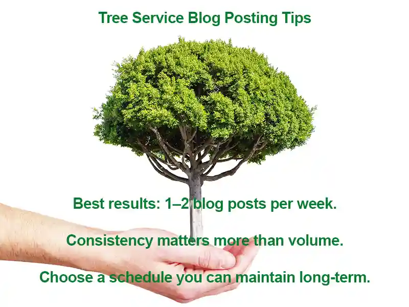 blog posting schedule