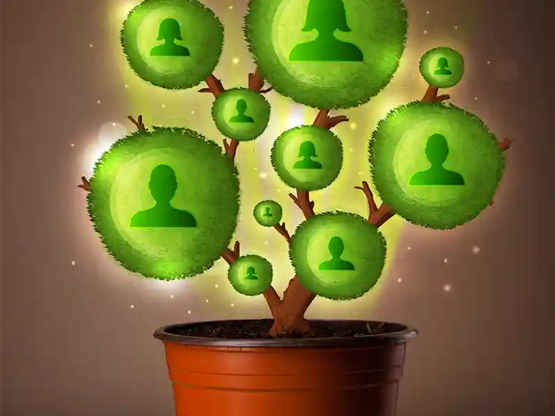 build brand authority with social media