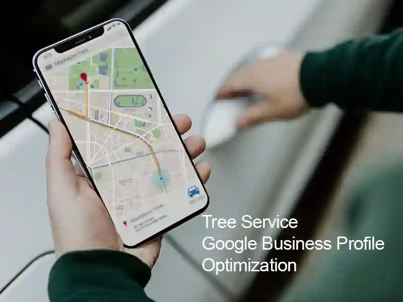 optimize google business profile