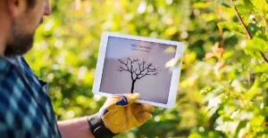 tree service social media strategy